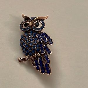 Pretty Blue Rose Gold Owl Brooch Pin BV1